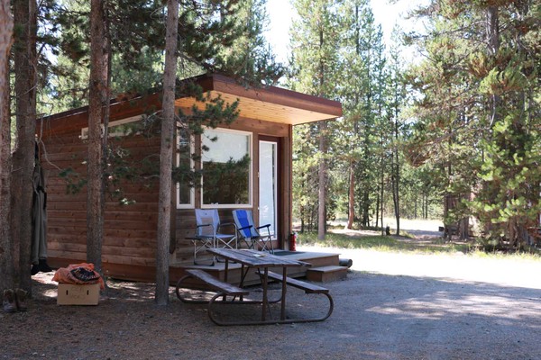 small cabin for overnight lodging shaded by conifers