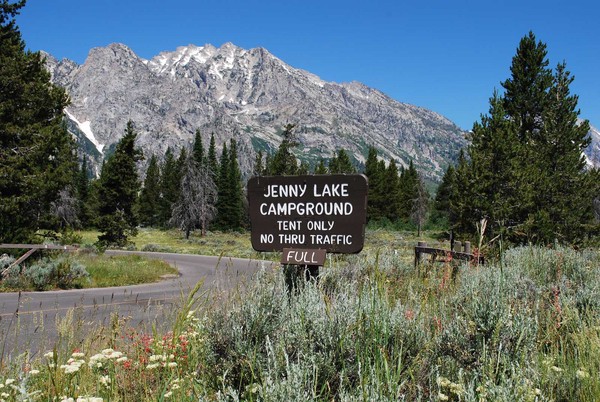Entrance sign to Jenny Lake Campground with Mt. St. Johns, conifers and wildflowers.