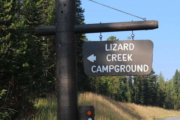 Lizard Creek campground sign with conifers and blue sky.