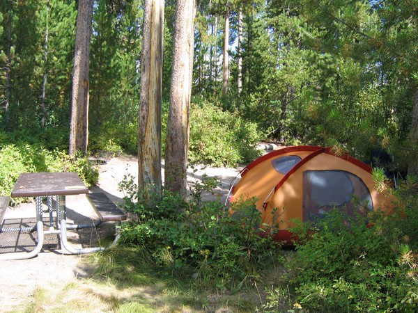 Signal Mountain Campground in Grand Teton National Park - ParkAndTrails