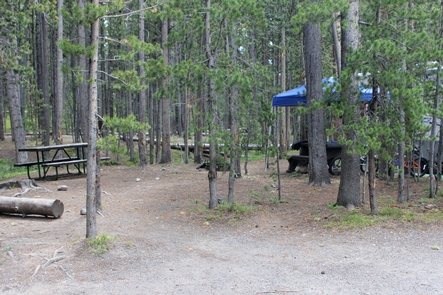 Canyon Campground in Yellowstone National Park