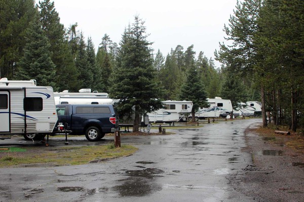 Campers and RVs parked in campground.