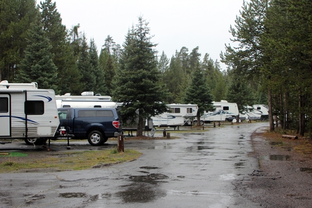 Fishing Bridge RV Park in Yellowstone National Park