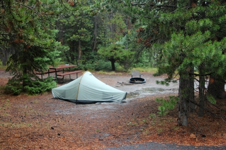 Grant Village Campground in Yellowstone National Park