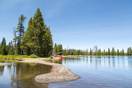 Lewis Lake Campground in Yellowstone National Park