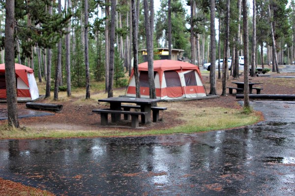 Tents pitched at campground