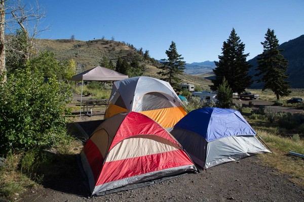 Tents pitched at the Mammoth Hot Springs Campground