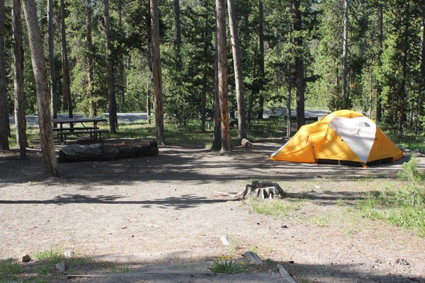 Tent pitched at a campground