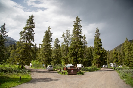 Pebble Creek Campground in Yellowstone National Park