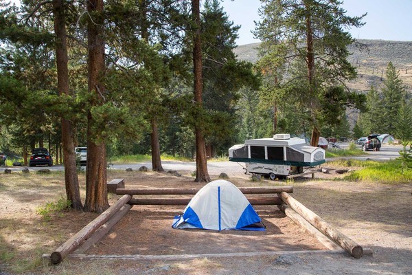 Campsite at Tower Fall Campground